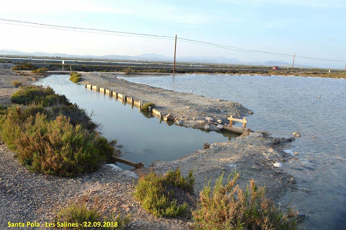 33 SANTA POLA LES SALINES (31).JPG